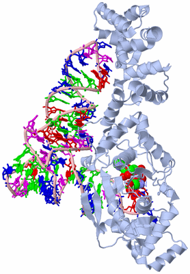 Image Biological Unit 1