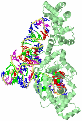 Image Biological Unit 2