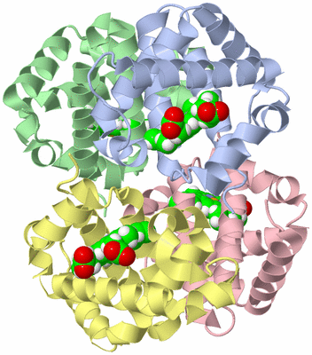 Image Biological Unit 1