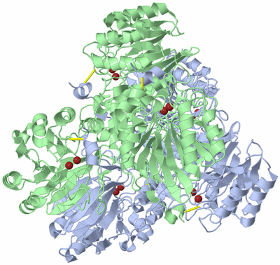 Image Biological Unit 1