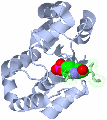 Image Asym./Biol. Unit