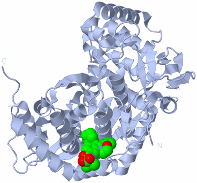 Image Biological Unit 1