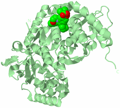 Image Biological Unit 2