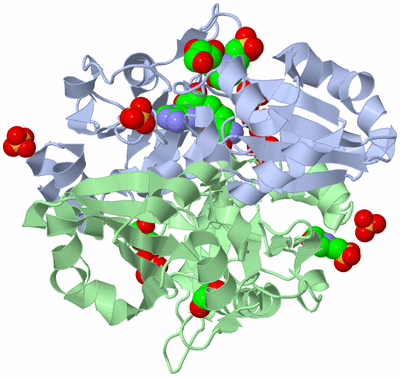 Image Biological Unit 1