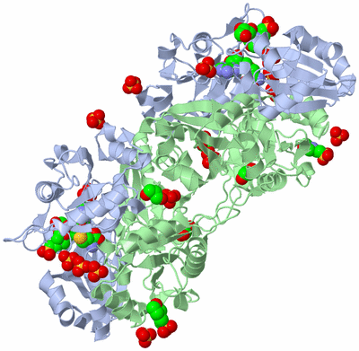 Image Biological Unit 2