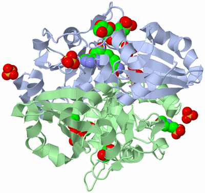 Image Biological Unit 1