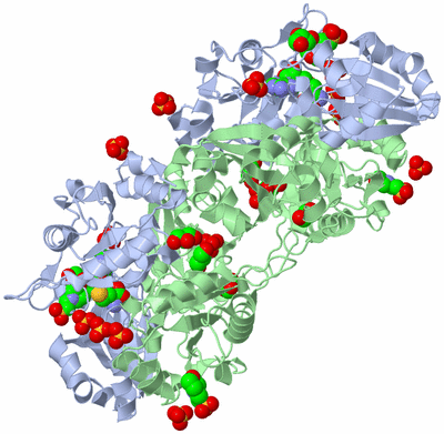 Image Biological Unit 2