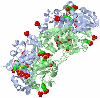 Image Biological Unit 2