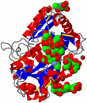 Image Asym./Biol. Unit