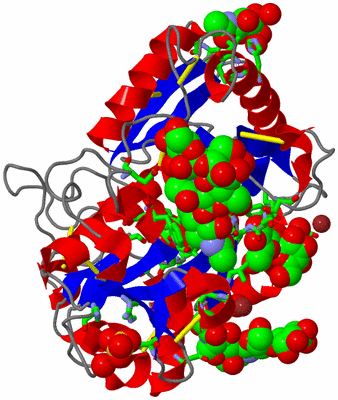 Image Asym./Biol. Unit - sites