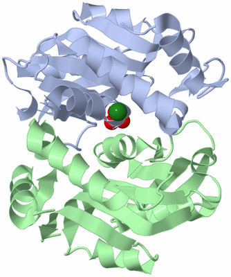 Image Asym./Biol. Unit - sites