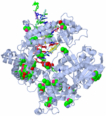 Image Biological Unit 1