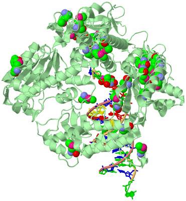 Image Biological Unit 2