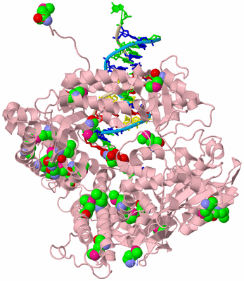 Image Biological Unit 3