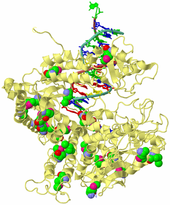 Image Biological Unit 4