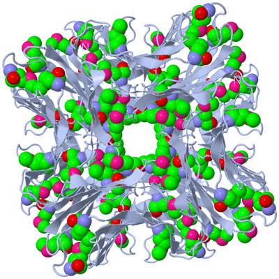 Image Biological Unit 2