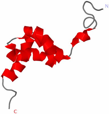 Image NMR Structure - model 1