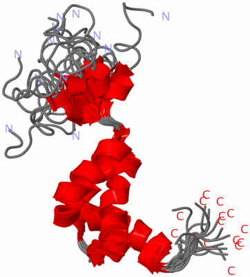 Image NMR Structure - all models