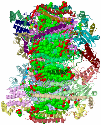 Image Asym./Biol. Unit - sites