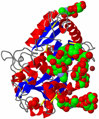 Image Asym./Biol. Unit