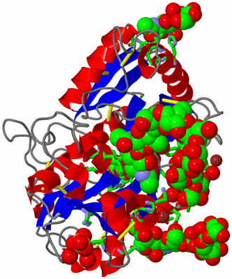 Image Asym./Biol. Unit - sites