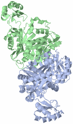 Image Asym./Biol. Unit