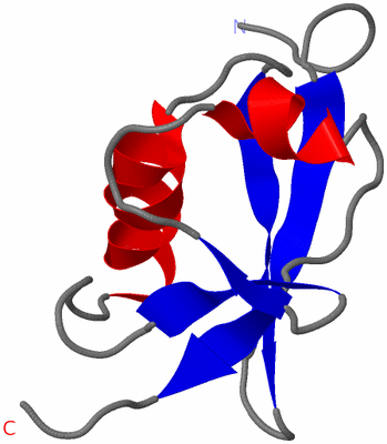 Image NMR Structure - model 1