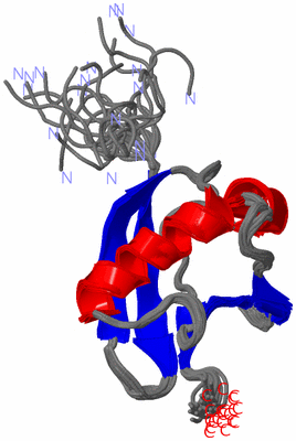 Image NMR Structure - all models