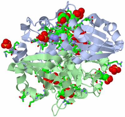 Image Biol. Unit 1 - sites