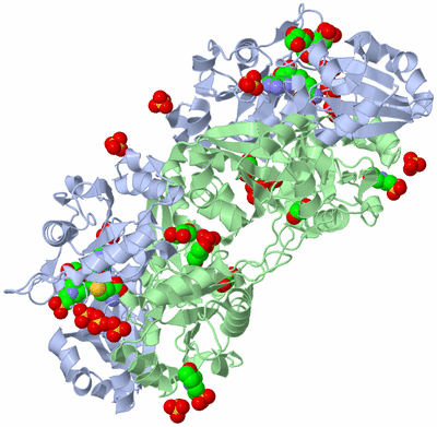 Image Biological Unit 2