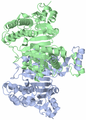 Image Asym./Biol. Unit