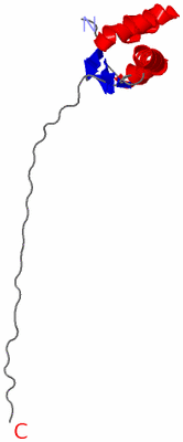 Image NMR Structure - model 1