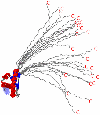 Image NMR Structure - all models