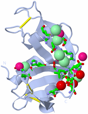 Image Biol. Unit 1 - sites