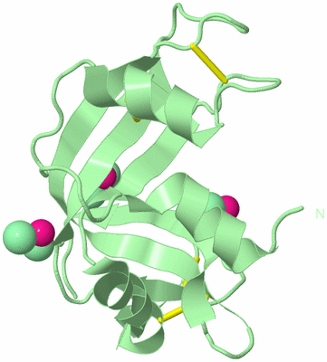 Image Biological Unit 2