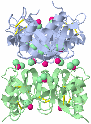 Image Biological Unit 3