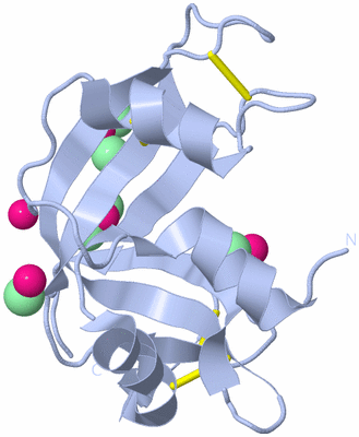 Image Biological Unit 1