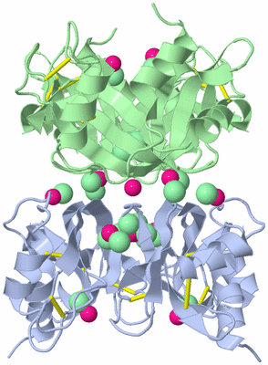 Image Biological Unit 3