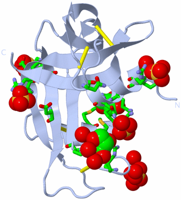 Image Biol. Unit 1 - sites