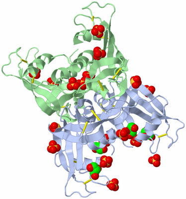 Image Biological Unit 3