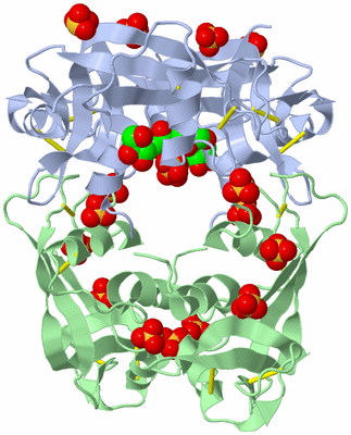 Image Biological Unit 4