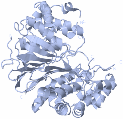 Image Biological Unit 1