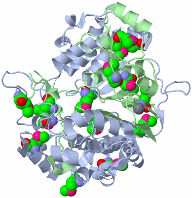 Image Biological Unit 1