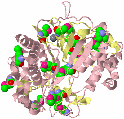 Image Biological Unit 2