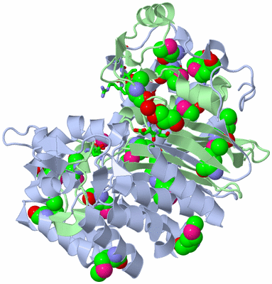 Image Biol. Unit 1 - sites