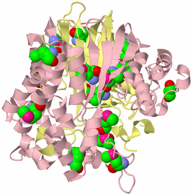 Image Biological Unit 2