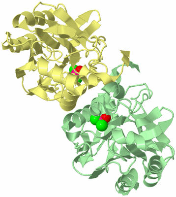 Image Biological Unit 2