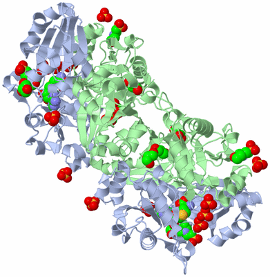 Image Biological Unit 2