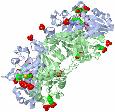 Image Biological Unit 2