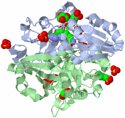 Image Biological Unit 1